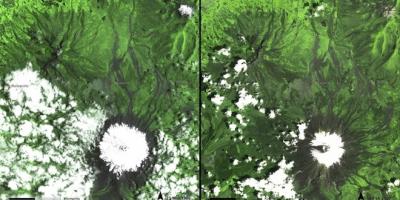 Спутниковые снимки NASA до и после вырубки леса
